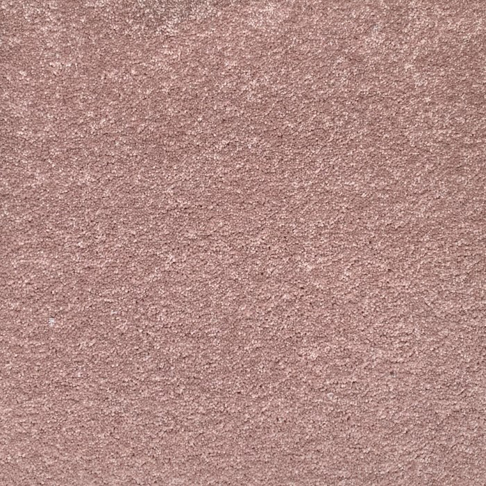 8225